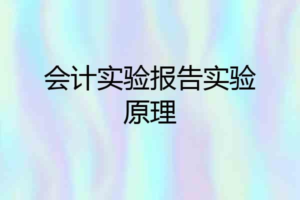 会计实验报告实验原理
