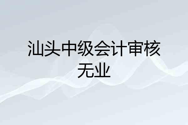 汕头中级会计审核无业
