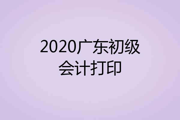 2020广东初级会计打印