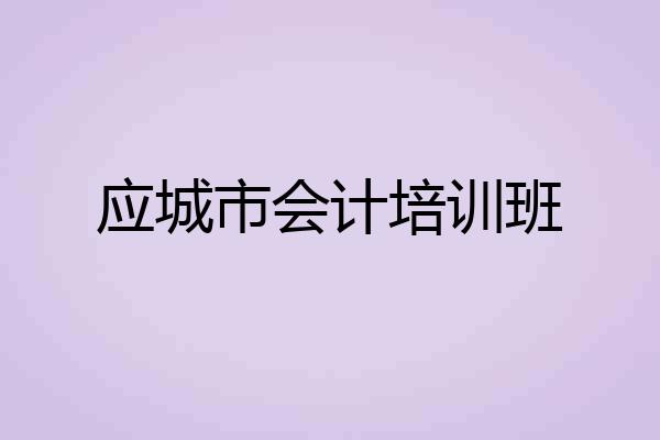 应城市会计培训班