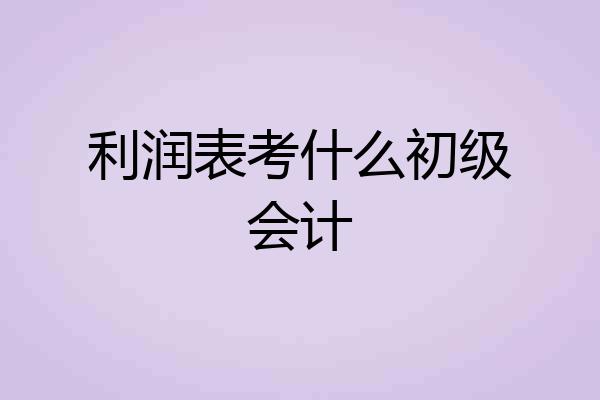 利润表考什么初级会计