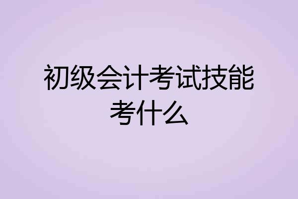 初级会计考试技能考什么