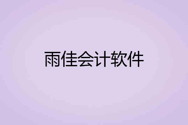 雨佳会计软件