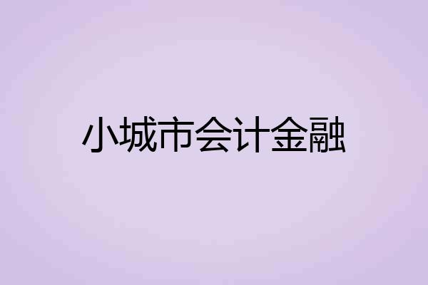 小城市会计金融