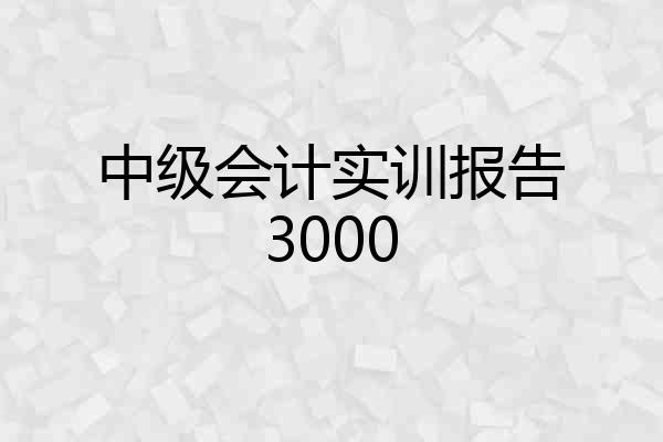 中级会计实训报告3000