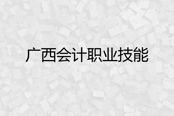 广西会计职业技能