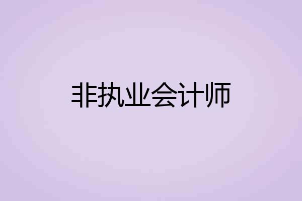 非执业会计师