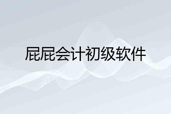 屁屁会计初级软件