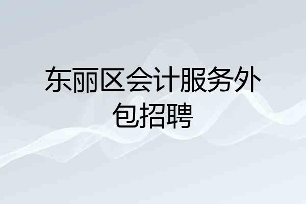 东丽区会计服务外包招聘