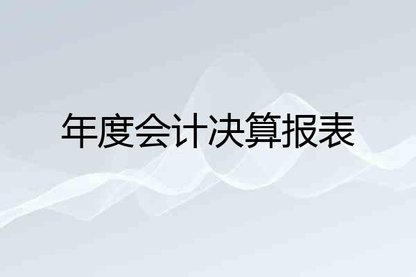 年度会计决算报表