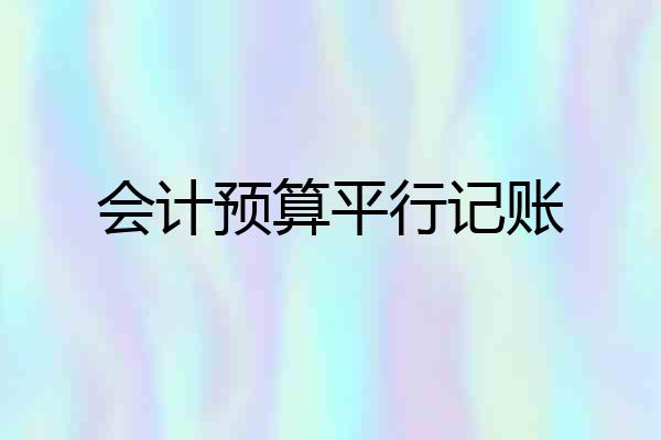 会计预算平行记账
