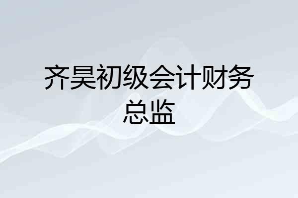 齐昊初级会计财务总监