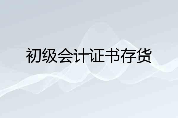 初级会计证书存货