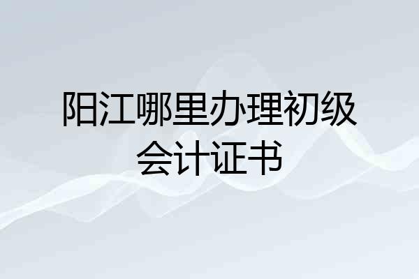 阳江哪里办理初级会计证书