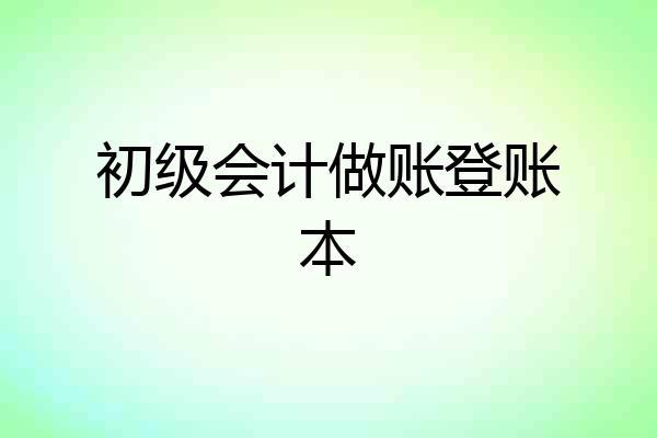 初级会计做账登账本