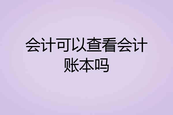 会计可以查看会计账本吗