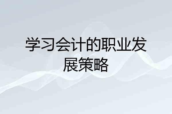 学习会计的职业发展策略