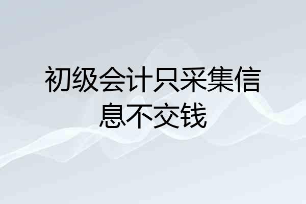 初级会计只采集信息不交钱