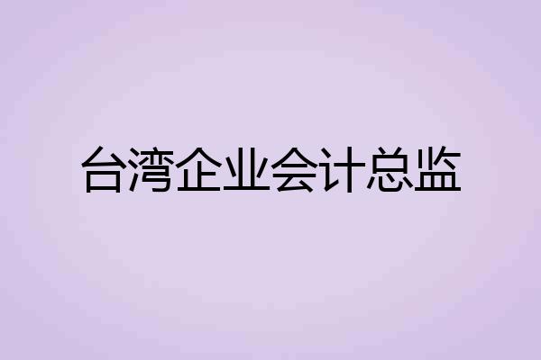 台湾企业会计总监