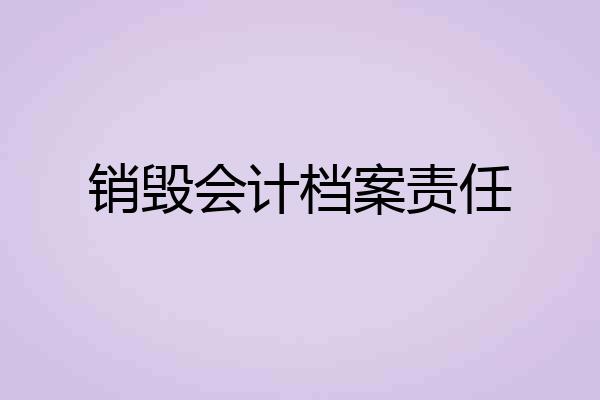 销毁会计档案责任