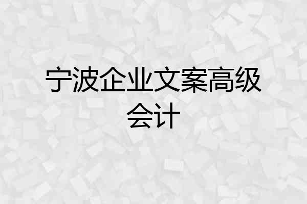 宁波企业文案高级会计
