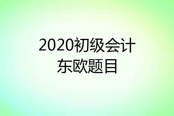 2020初级会计东欧题目