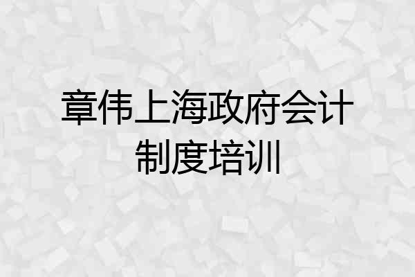 章伟上海政府会计制度培训