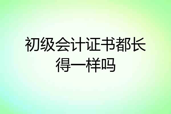 初级会计证书都长得一样吗