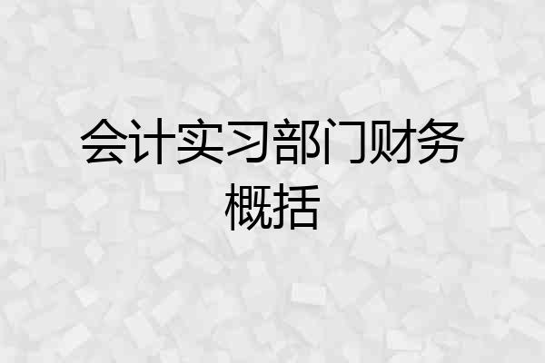 会计实习部门财务概括