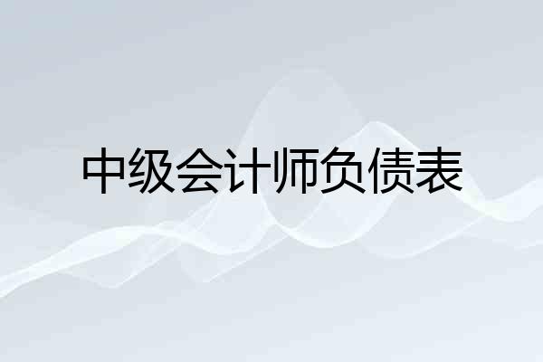 中级会计师负债表
