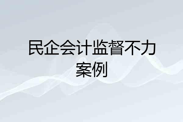 民企会计监督不力案例