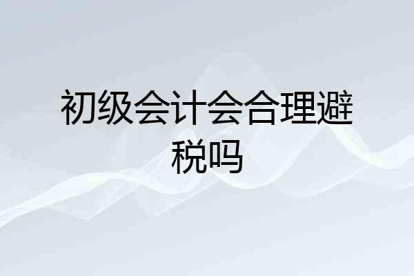 初级会计会合理避税吗