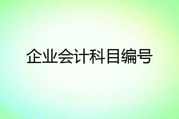 企业会计科目编号