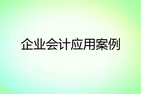 企业会计应用案例