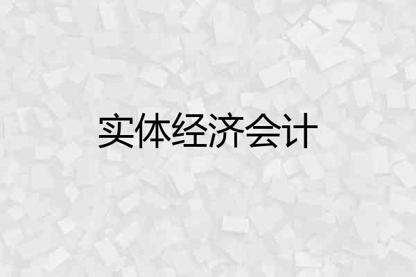 实体经济会计