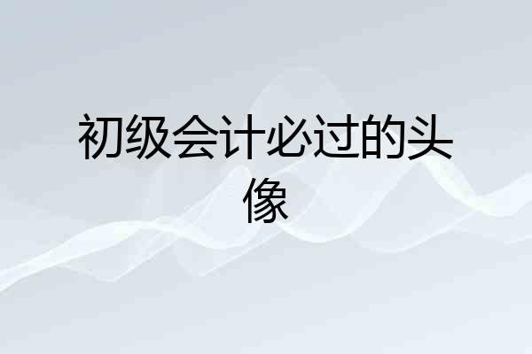 初级会计必过的头像
