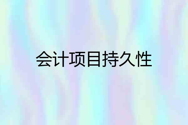 会计项目持久性