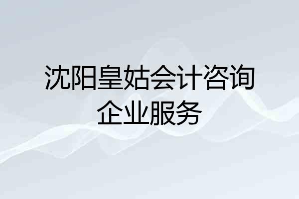 沈阳皇姑会计咨询企业服务