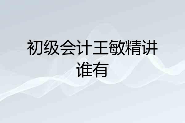 初级会计王敏精讲谁有