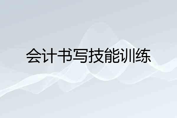 会计书写技能训练