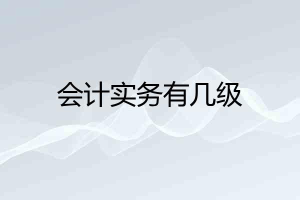 会计实务有几级