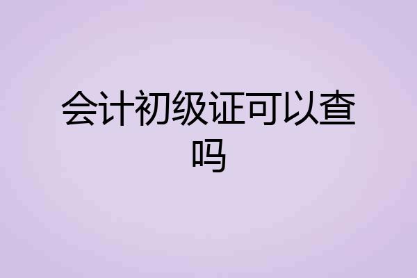 会计初级证可以查吗