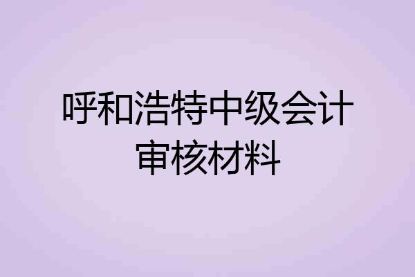呼和浩特中级会计审核材料