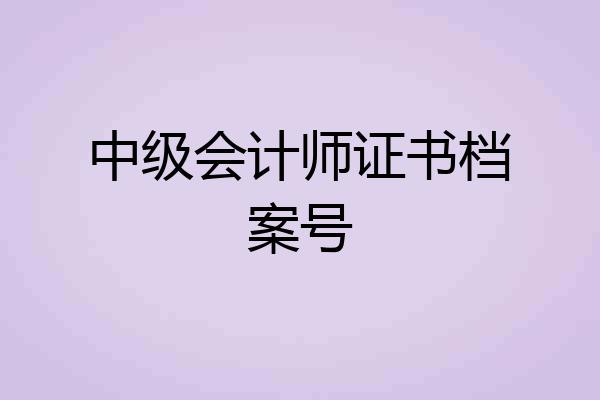 中级会计师证书档案号