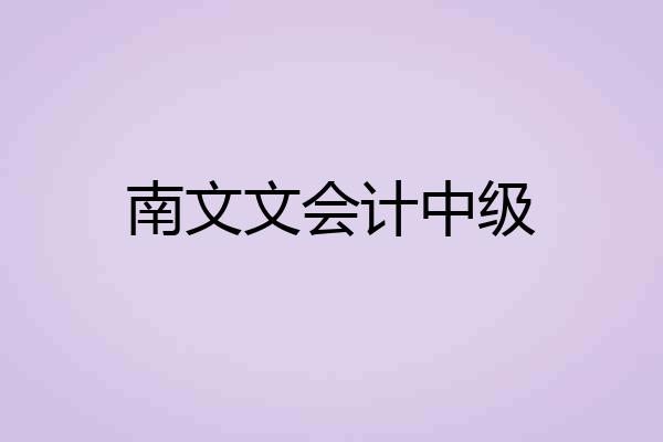 南文文会计中级