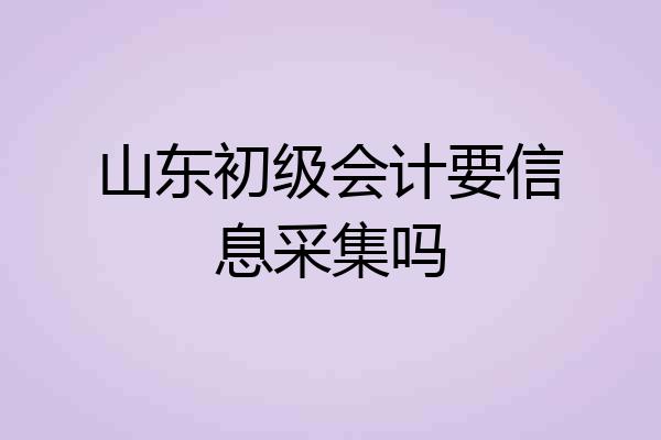 山东初级会计要信息采集吗