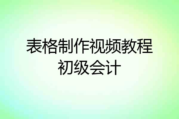 表格制作视频教程初级会计
