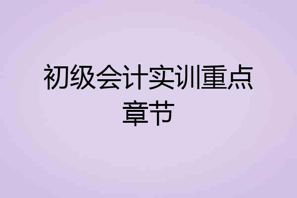 初级会计实训重点章节