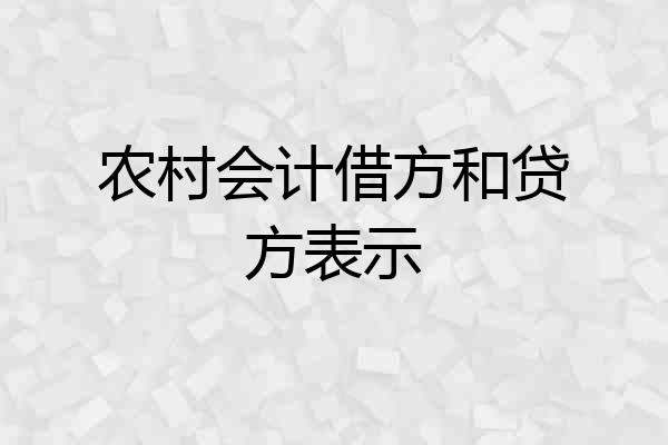 农村会计借方和贷方表示