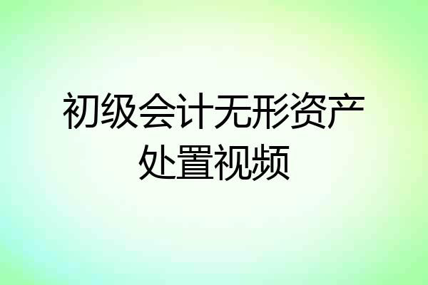 初级会计无形资产处置视频